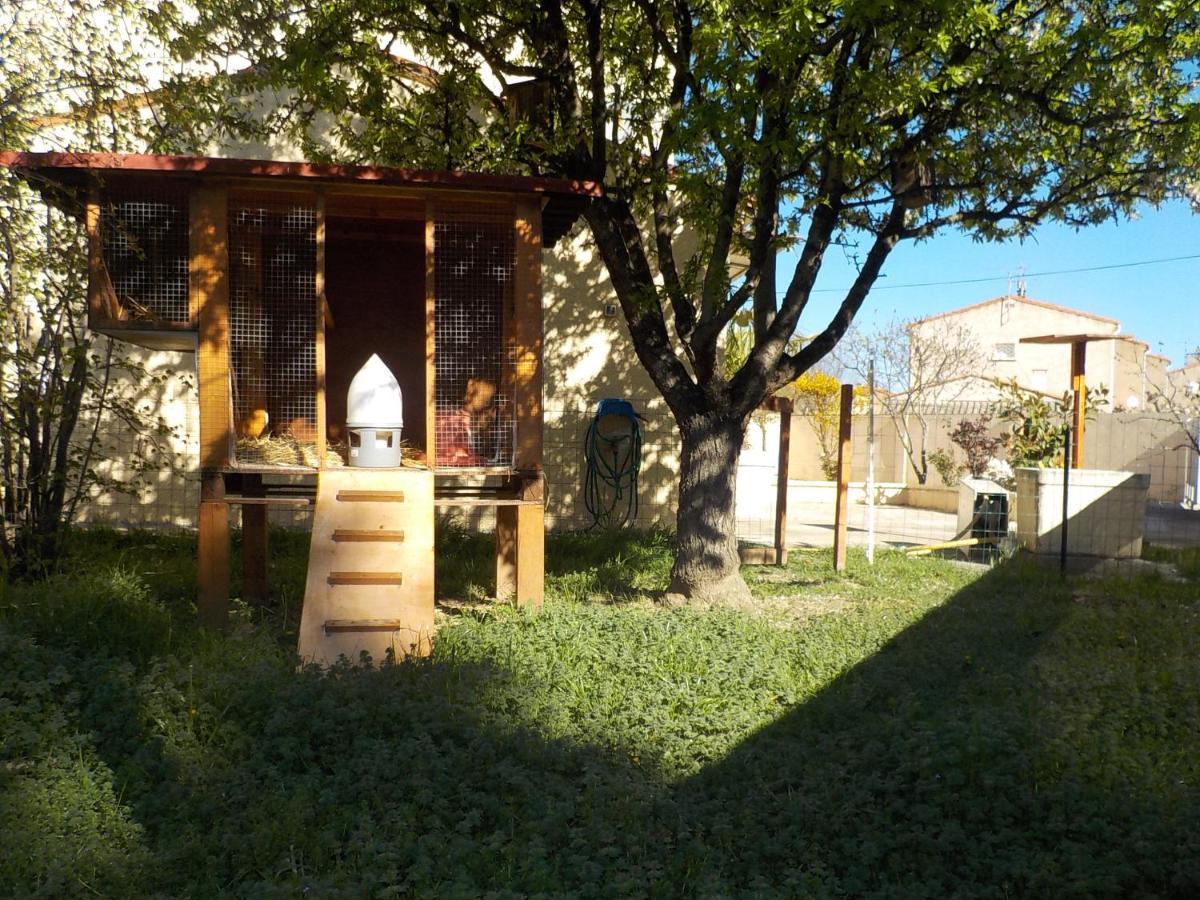 Studio Et Piscine Au Sel Cuxac-dʼAude Eksteriør billede